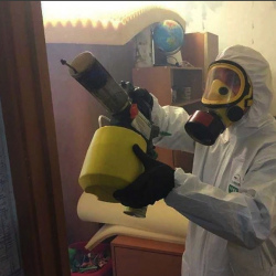 Уничтожение клопов в квартире. Севастопольская